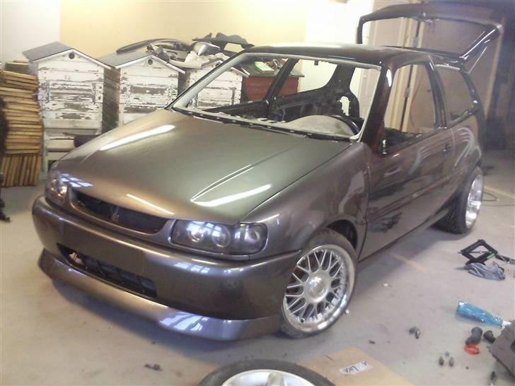 VW Polo 6n Colour concept billede 4