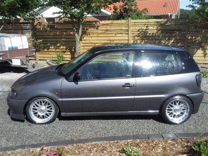 VW Polo 6n Colour concept billede 11