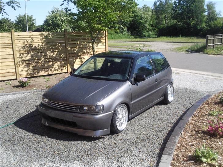 VW Polo 6n Colour concept billede 12