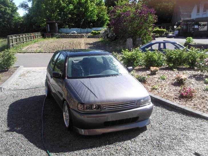 VW Polo 6n Colour concept billede 13