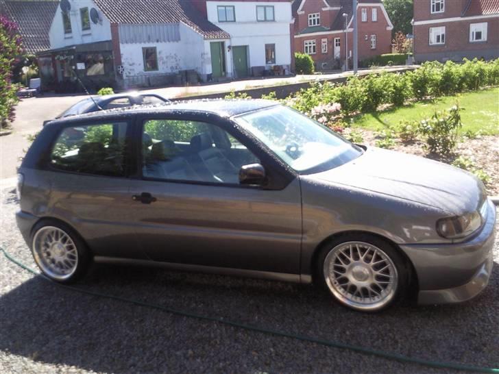 VW Polo 6n Colour concept billede 14