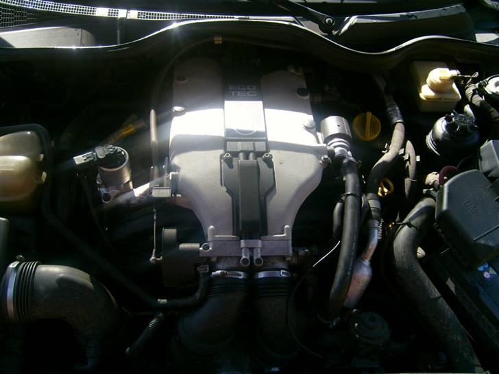 Opel Omega 3.0 V6  billede 15