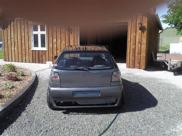 VW Polo 6n Colour concept billede 15