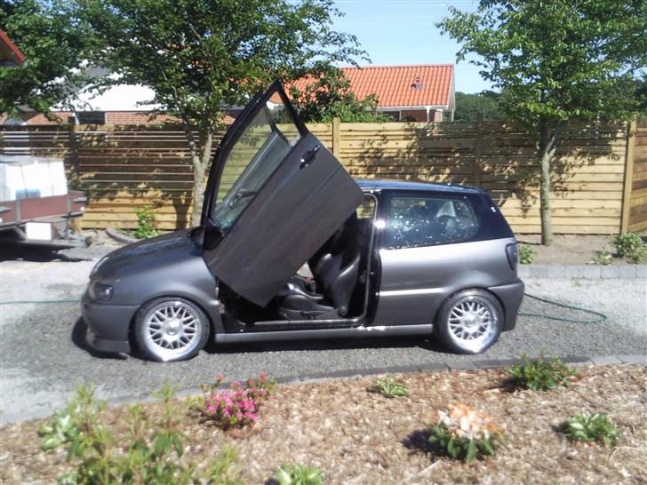 VW Polo 6n Colour concept billede 17