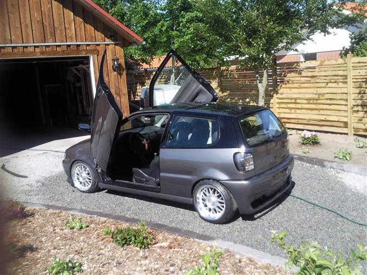 VW Polo 6n Colour concept billede 18