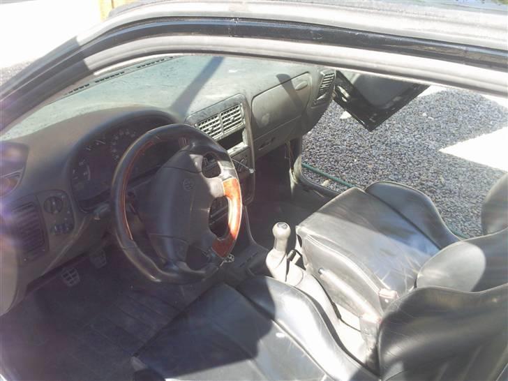 VW Polo 6n Colour concept billede 19