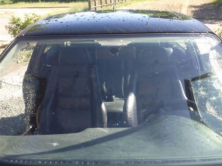 VW Polo 6n Colour concept billede 20