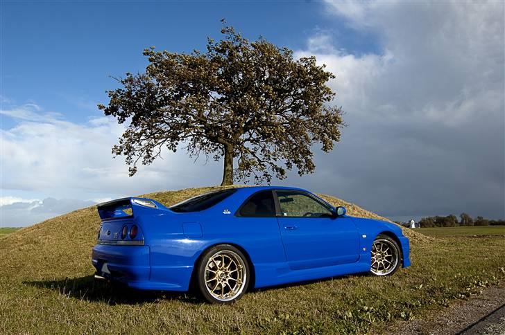 Nissan Skyline GTR33 LM LTD  billede 10