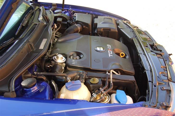 Seat leon billede 14