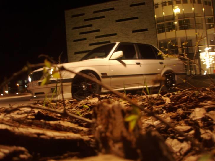 BMW E30 billede 12