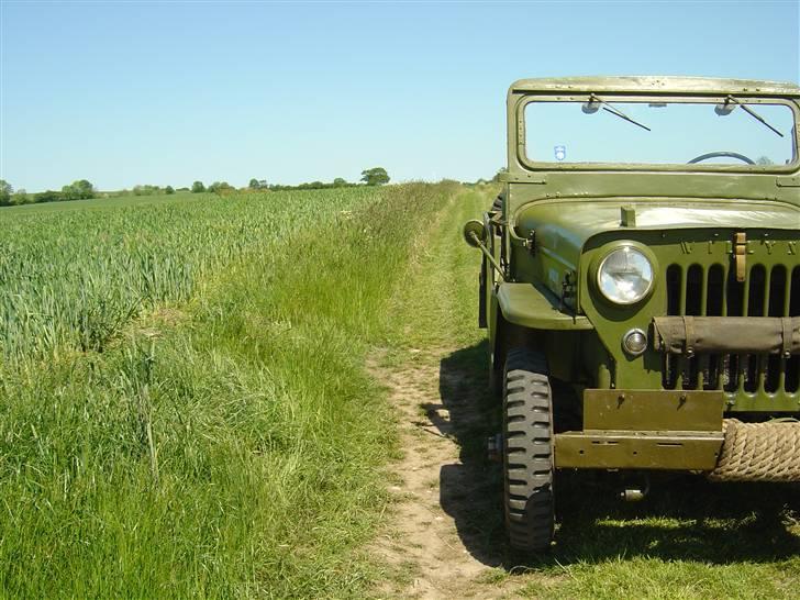 Jeep Willys CJ-3B billede 9