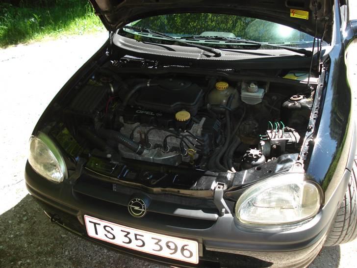 Opel Corsa B Sport - sommer 09 billede 20