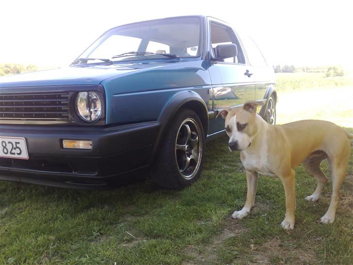 VW Golf 2 *solgt* - Nogen har dejlige damer på billederne.. .. billede 16