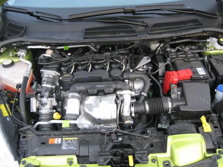 Ford Fiesta 1,6 TDCi Titanium  billede 14