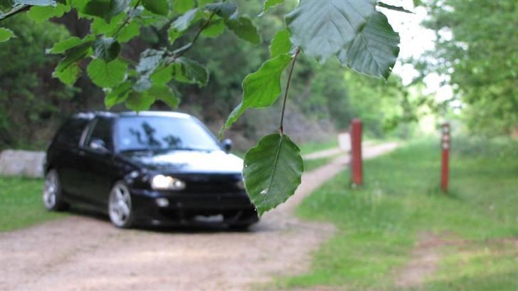 VW Golf 3 1.8 Black Edition billede 11