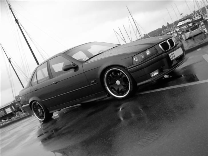 BMW 325i billede 13
