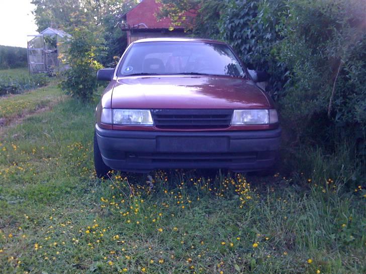 Opel Vectra - emblemfri front, desværre har tidligere ejer bare smidt spartel i hullet i hjelmen. billede 2