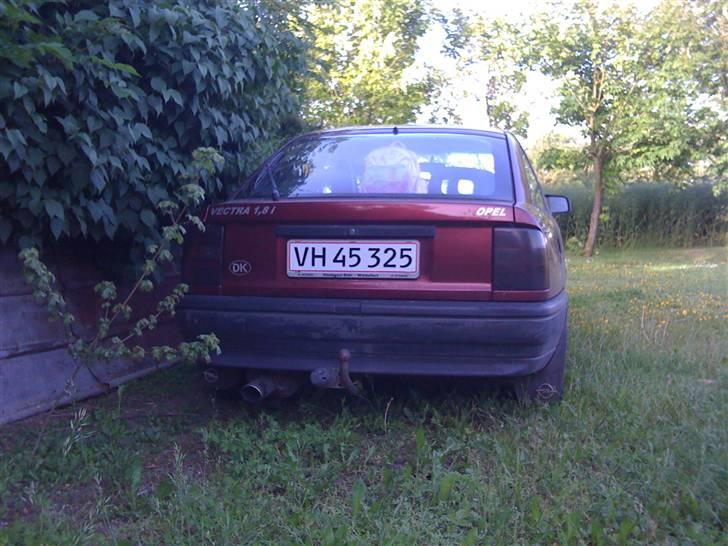 Opel Vectra - de mørke lygter og potten pynter utrolig nok. billede 5