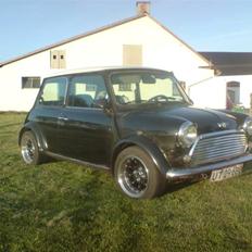 Rover Mini Cooper 