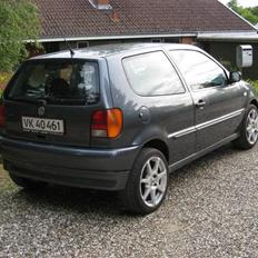 VW Polo 1.6