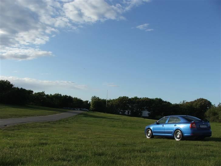 Skoda --octavia rs-- billede 13