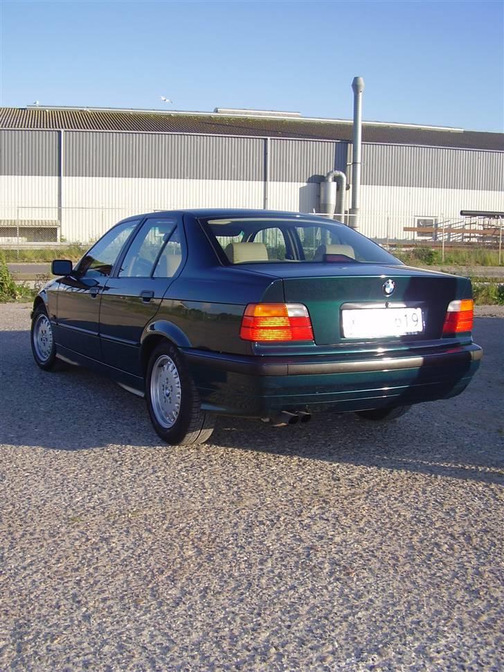 BMW E36 328i billede 3
