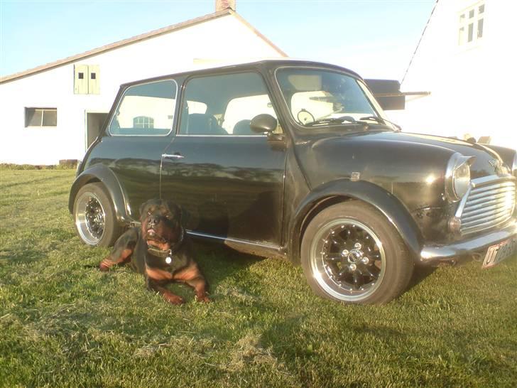 Rover Mini Cooper  billede 5
