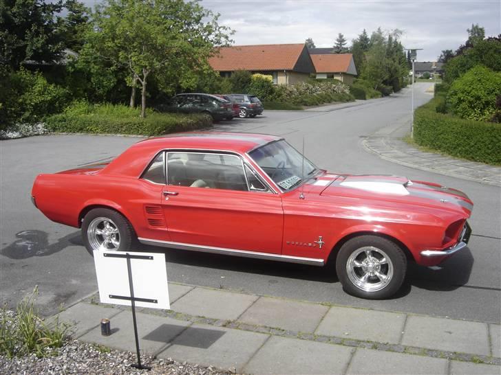 Ford mustang billede 1
