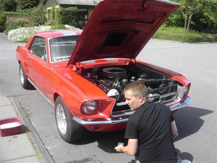 Ford mustang billede 2
