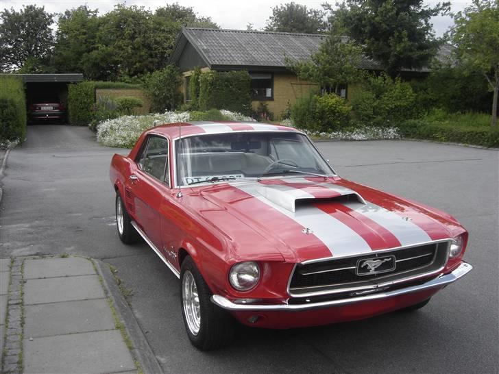 Ford mustang billede 6