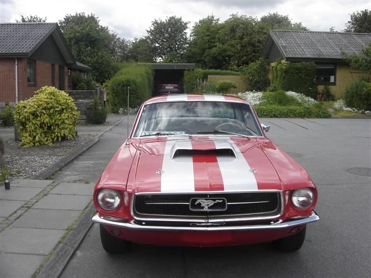 Ford mustang billede 7