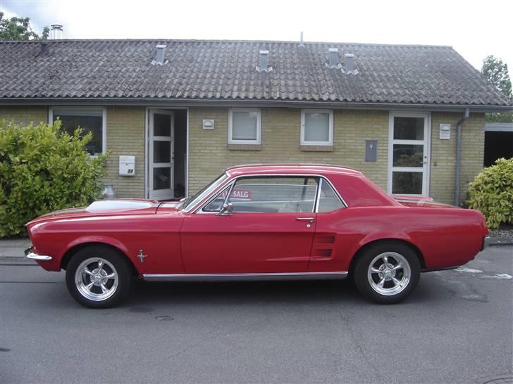 Ford mustang billede 8