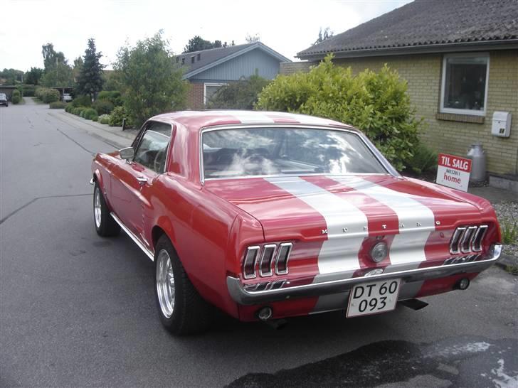 Ford mustang billede 9