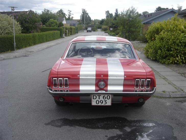 Ford mustang billede 10