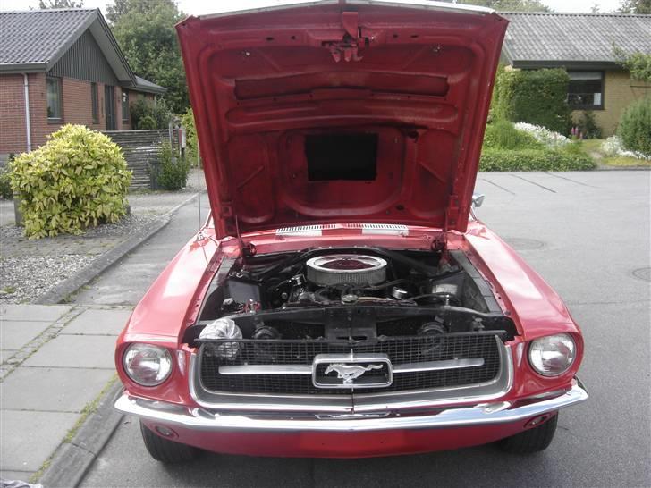 Ford mustang billede 11