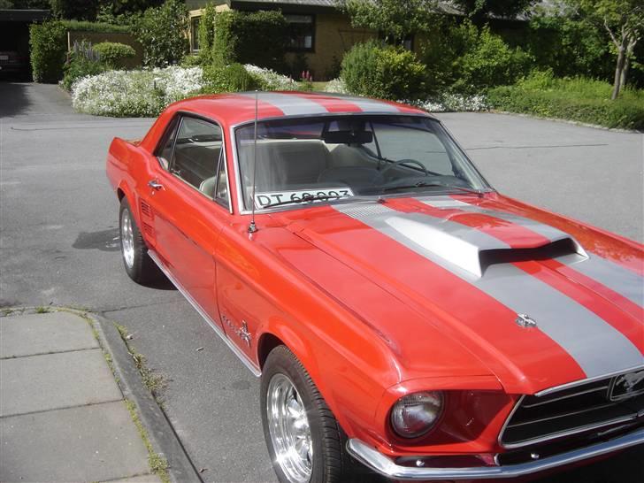 Ford mustang billede 13