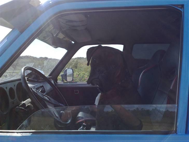 Toyota landcruiser HJ 60 turbo $DEN BLÅ$ - jeg er bare med alle steder:d jeg er nemlig noget særligt:d billede 11