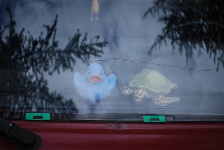 Volvo 240 GL R.I.P. - Så fik skilpaden en lege kammerat :-) billede 15