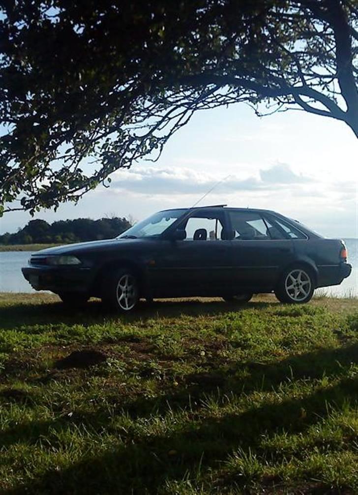 Toyota Carina II RIP billede 1