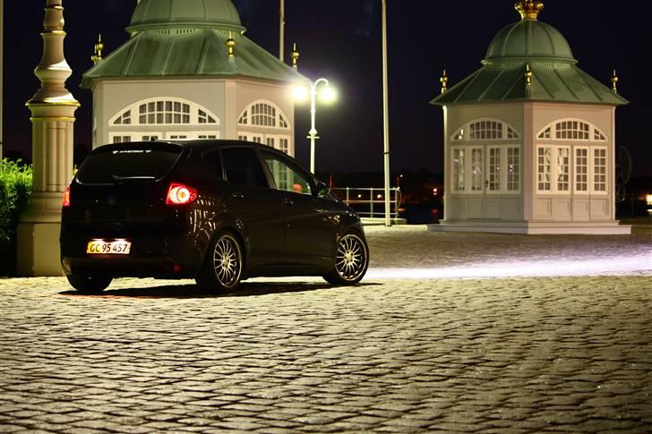 Seat Altea (Totalskadet) billede 4