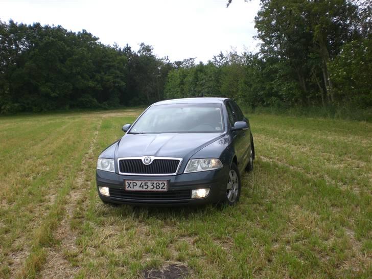 Skoda Octavia Elegance (SOLGT) billede 2