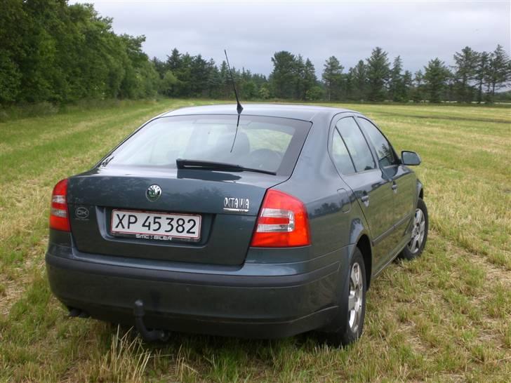 Skoda Octavia Elegance (SOLGT) billede 5