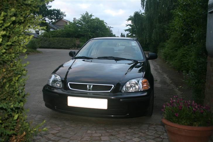Honda Civic 1.5 VTEC billede 1
