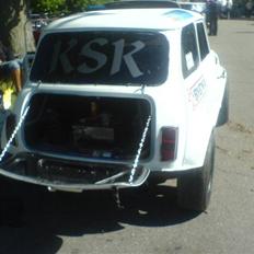 Austin-Morris mascot