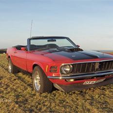 Ford Mustang Conv.