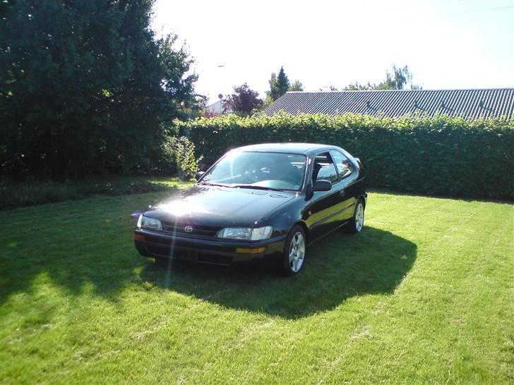 Toyota Corolla SOLGT billede 1