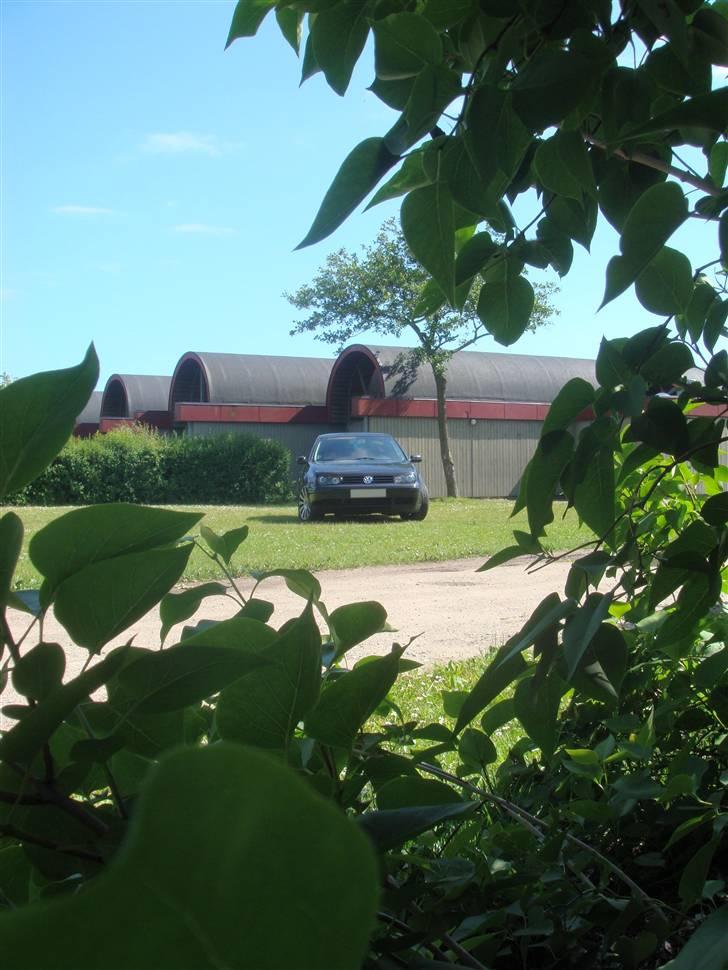 VW Golf 4 GTI Turbo billede 13