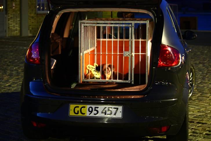 Seat Altea (Totalskadet) billede 7