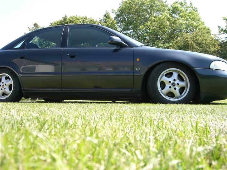 Audi a4 1,8 T - dejlig frihøjde ;0) billede 2