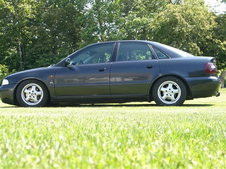 Audi a4 1,8 T - Igen se frihøjden bla ved forhjulet. billede 5